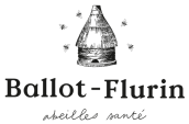 Ballot-Flurin