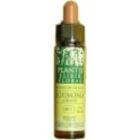 Centaury Plantis Nº 04 10 ml