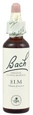 Bach 11 Elm 20 ml