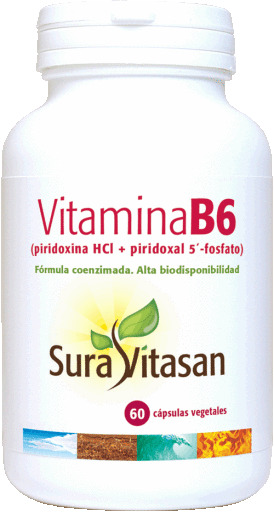 Vitamin B6 60 Capsules