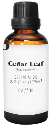 Essential Oil for Aromatherapy with Cedar Leaf