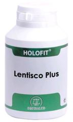 Holofit Mastic Plus