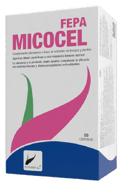 Micocel 60 Capsules