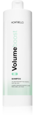 Volume Boost Shampoo